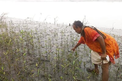 Villagers Fear for Survival on This Quickly Disappearing Island of Bay of Bengal