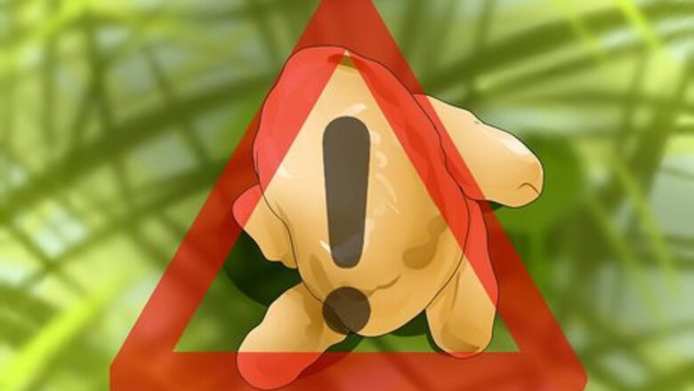 How to Diagnose Pancreatic Enzyme Deficiencies in German Shepherds