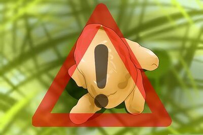 How to Diagnose Pancreatic Enzyme Deficiencies in German Shepherds