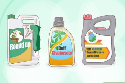 How to Get Rid of Thistles