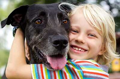 What Makes a Dog Man's Best Friend? It's in The Genes