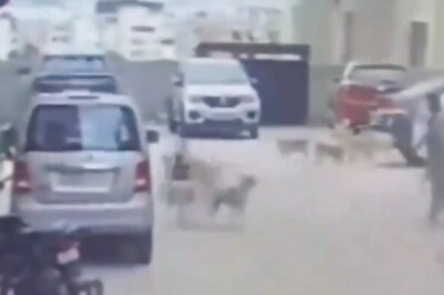 Shocking Video: Woman Attacked By 15 Dogs Recalls Harrowing Encounter