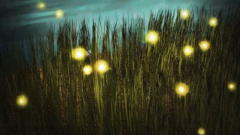 How to Catch a Firefly