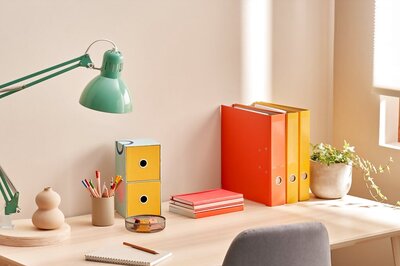 Back to School Essentials: Furniture and Study Solutions for Students