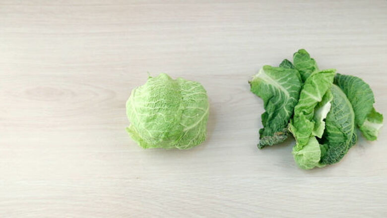 How to Cut Cabbage
