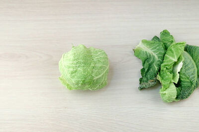 How to Cut Cabbage