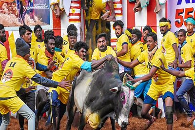 Tamil Nadu: Two Killed By Bulls During Jallikattu Event in Sivaganga