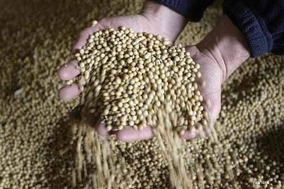 Soy supplements no risk for menopausal women