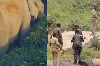 Anand Mahindra Says This Elephant Rescue Story Should Be Made Into A Film; What Do You Think?