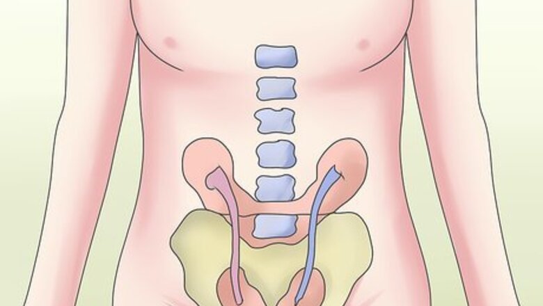 How to Treat Horseshoe Kidney