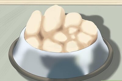 How to Treat Acid Reflux in Dogs