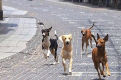 Minor Rapes Street Dog in Lucknow; Arrested