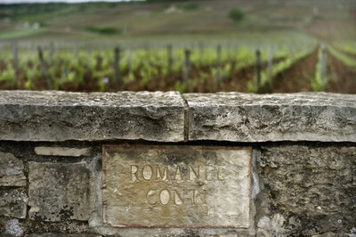 Millions Dished Out For Rare Burgundy At Geneva Wine Auction