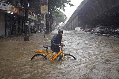 Andhra Pradesh launches portal to collate data on cyclone Hudhud damages