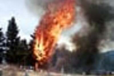 17 killed in US plane crash | Plane crashlands in Tokyo