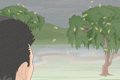 How to Make a Firefly Lamp