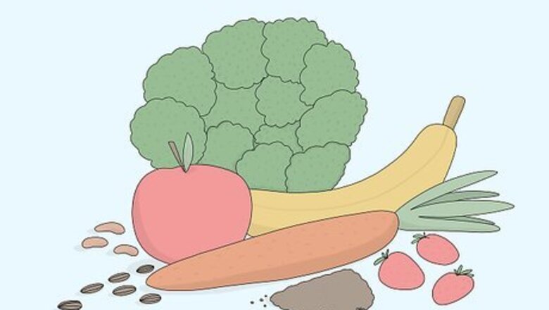 How to Increase Good Bacteria in Your Gut