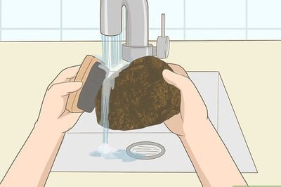 How to Prepare Chaga