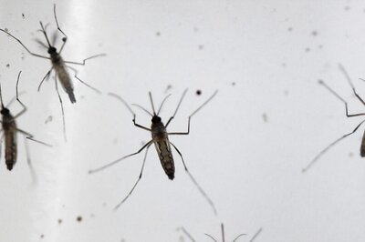 55 Dengue Cases Reported in Delhi This Year, Says Civic Report