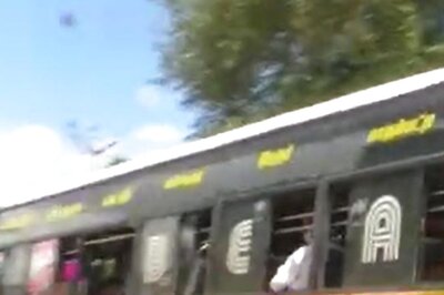 WATCH: Foal Mistakes Image on Moving Bus For A Real Horse, Rushes Alongside The Vehicle