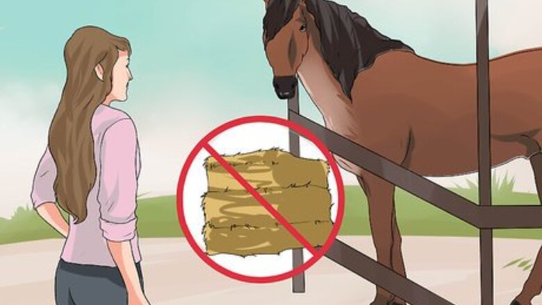 How to Treat Heaves in Horses