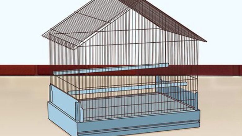 How to Set Up an Eclectus Habitat