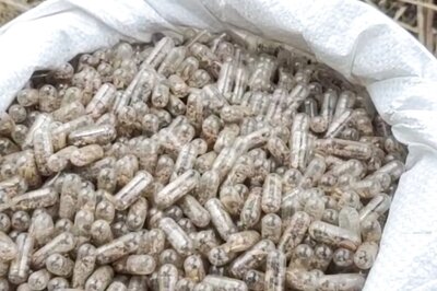 Tamil Nadu: Modern Meets Traditional as Farmer Grows Paddy Through 'Capsule' Method for Future Farming