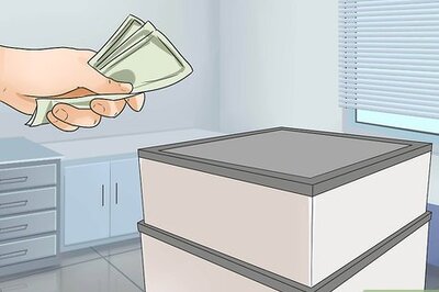 How to Keep a Bamboo Shark