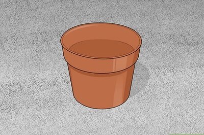 How to Make a Seashell Planter