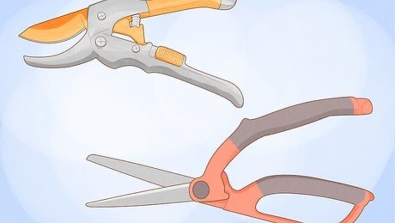 How to Trim or Cut Roses from a Bush