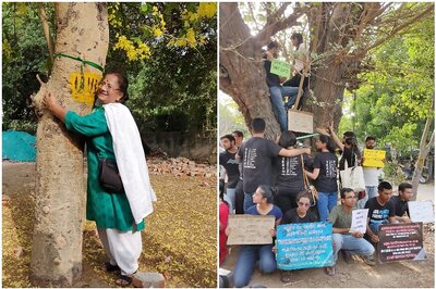 No Trees to be Cut for South Delhi Colonies, NBCC and CPWD Told to Rework Layout Plans