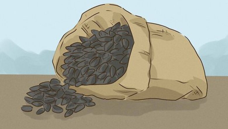 How to Eat Sunflower Seeds