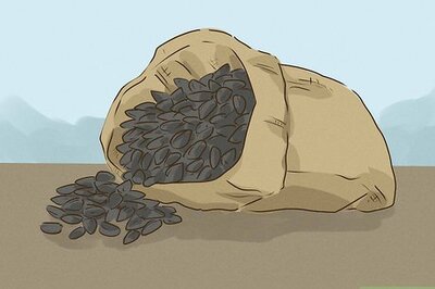 How to Eat Sunflower Seeds