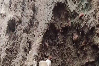 Loot or Priests? Skeletons from Mughal Era Recovered During Excavation Madhya Pradesh's Ujain