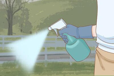 21 Tips to Keep Squirrels Out of Your Yard & Away from Your Plants