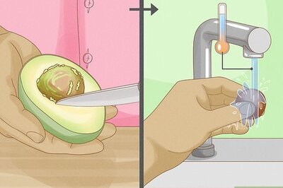 How to Grow an Avocado Tree