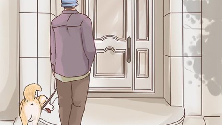 How to Make an Outdoor Dog an Indoor Dog As It Ages