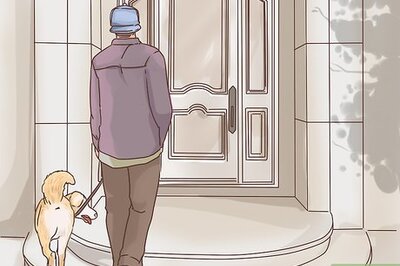 How to Make an Outdoor Dog an Indoor Dog As It Ages