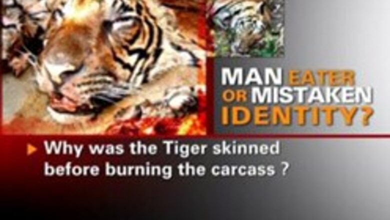 Tiger killed in 'fake encounter', activists cry foul