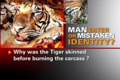 Tiger killed in 'fake encounter', activists cry foul