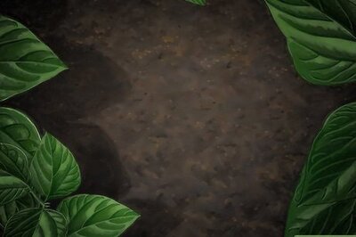 How to Catch Worms