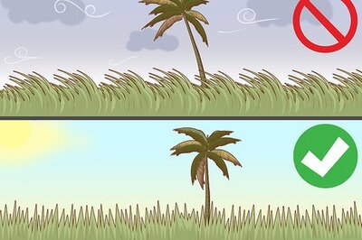 How to Use Roundup