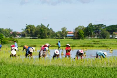 Crop Insurance Claims at Rs 9,570 Cr for 2020-21 Lower by Over 60% from Previous Year