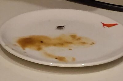 Cockroach Found in Food Served at Air India’s First Class Lounge