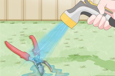 How to Sanitize Pruning Shears