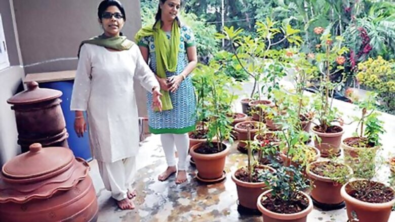 Veggies grow on waste in Bangalore