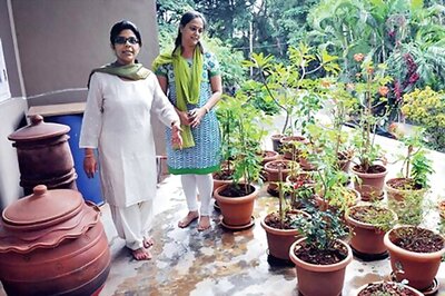 Veggies grow on waste in Bangalore
