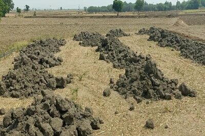 Nizamabad Farmers Aim To Use Pond Soil For Better Turmeric Growth