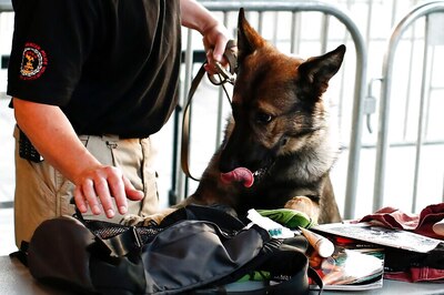 US Stops Sending Sniffer Dogs to Egypt, Jordan After Several Deaths Due to 'Lack of Care'