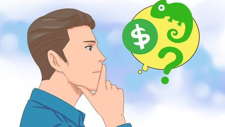 How to Buy a Chameleon